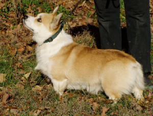 webassets/Andrewwebpics099.JPG
