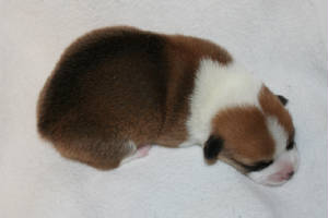 webassets/IMG_5939.JPG